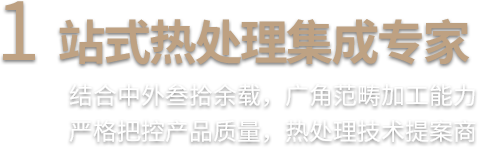 1站式热处理集成专家